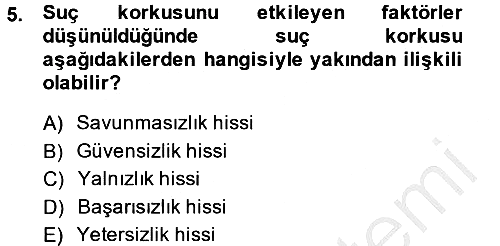 Suç Sosyolojisi 2014-2015 Dönem Sonu Sınavı - 5. soru