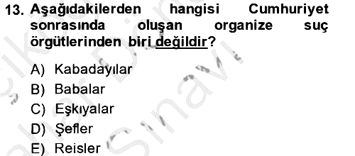 Suç Sosyolojisi 2014-2015 Dönem Sonu Sınavı - 13. soru
