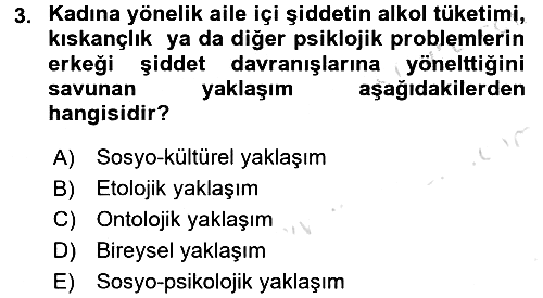 Suç Sosyolojisi 2015-2016 Dönem Sonu Sınavı - 3. soru