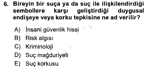 Suç Sosyolojisi 2016-2017 Dönem Sonu Sınavı - 6. soru