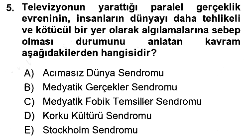 Suç Sosyolojisi 2018-2019 Dönem Sonu Sınavı - 5. soru