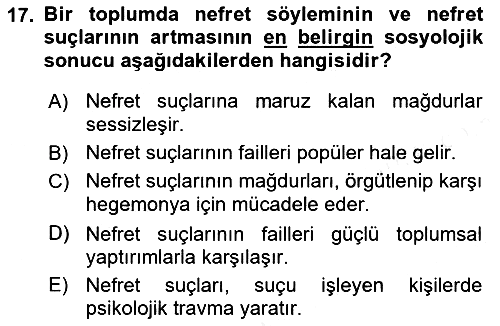 Suç Sosyolojisi 2018-2019 Dönem Sonu Sınavı - 17. soru