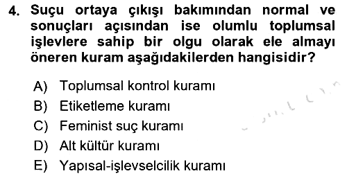 Suç Sosyolojisi 2021-2022 Dönem Sonu Sınavı - 4. soru