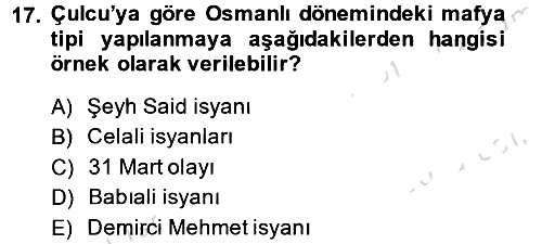 Suç Sosyolojisi 2013-2014 Tek Ders Sınavı - 17. soru