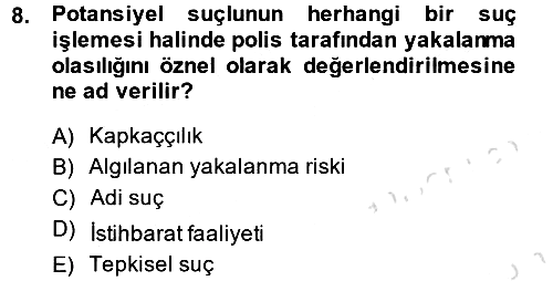 Suç Sosyolojisi 2014-2015 Tek Ders Sınavı - 8. soru