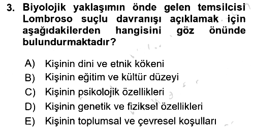 Suç Sosyolojisi 2024-2025 Yaz Okulu Sınavı - 3. soru