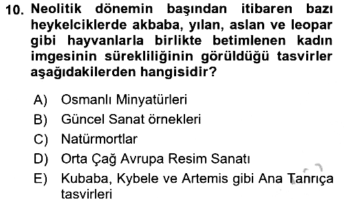 Toplumsal Cinsiyet Çalışmaları 2016-2017 3 Ders Sınavı - 10. soru
