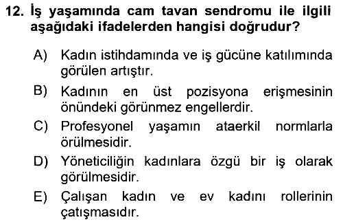 Toplumsal Cinsiyet Çalışmaları 2017-2018 3 Ders Sınavı - 12. soru