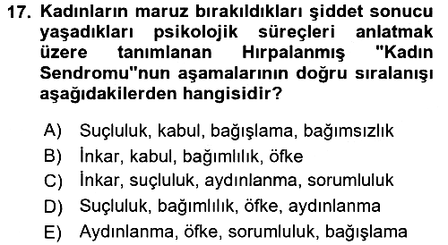 Toplumsal Cinsiyet Çalışmaları 2017-2018 3 Ders Sınavı - 17. soru