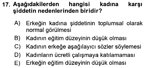 Toplumsal Cinsiyet Çalışmaları 2018-2019 3 Ders Sınavı - 17. soru