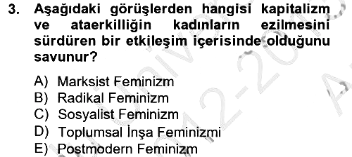 Toplumsal Cinsiyet Çalışmaları 2012-2013 Ara Sınav - 3. soru