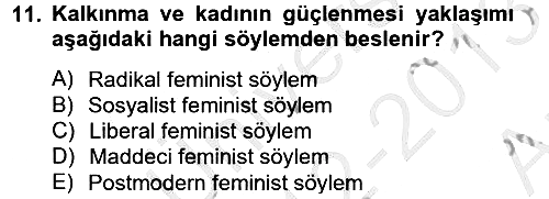 Toplumsal Cinsiyet Çalışmaları 2012-2013 Ara Sınav - 11. soru