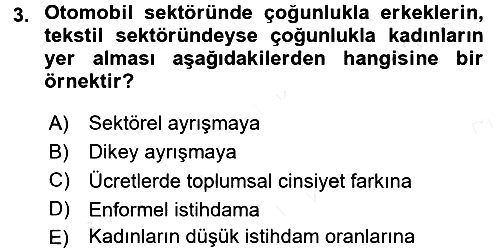 Toplumsal Cinsiyet Çalışmaları 2015-2016 Ara Sınav - 3. soru
