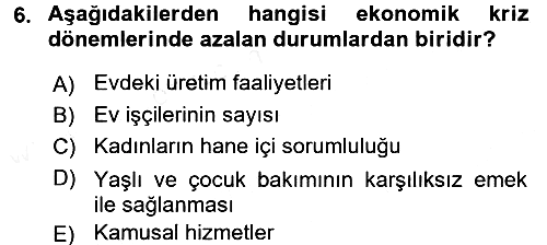 Toplumsal Cinsiyet Çalışmaları 2015-2016 Ara Sınav - 6. soru