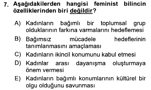 Toplumsal Cinsiyet Çalışmaları 2015-2016 Ara Sınav - 7. soru