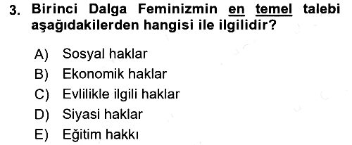 Toplumsal Cinsiyet Çalışmaları 2017-2018 Ara Sınav - 3. soru