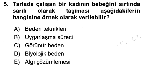 Toplumsal Cinsiyet Çalışmaları 2023-2024 Ara Sınav - 5. soru