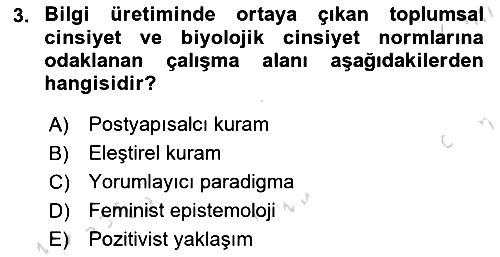 Toplumsal Cinsiyet Çalışmaları 2024-2025 Ara Sınav - 3. soru
