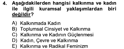 Toplumsal Cinsiyet Çalışmaları 2012-2013 Dönem Sonu Sınavı - 4. soru