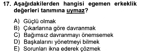 Toplumsal Cinsiyet Çalışmaları 2012-2013 Dönem Sonu Sınavı - 17. soru