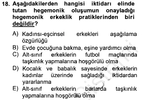 Toplumsal Cinsiyet Çalışmaları 2012-2013 Dönem Sonu Sınavı - 18. soru