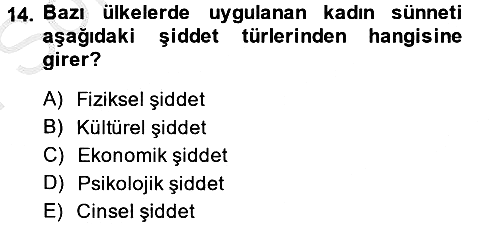 Toplumsal Cinsiyet Çalışmaları 2013-2014 Dönem Sonu Sınavı - 14. soru