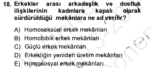 Toplumsal Cinsiyet Çalışmaları 2013-2014 Dönem Sonu Sınavı - 18. soru