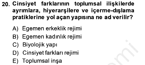 Toplumsal Cinsiyet Çalışmaları 2013-2014 Dönem Sonu Sınavı - 20. soru