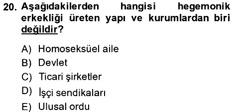 Toplumsal Cinsiyet Çalışmaları 2014-2015 Dönem Sonu Sınavı - 20. soru