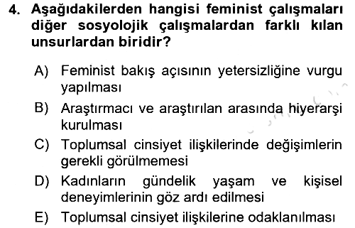 Toplumsal Cinsiyet Çalışmaları 2016-2017 Dönem Sonu Sınavı - 4. soru