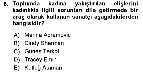 Toplumsal Cinsiyet Çalışmaları 2016-2017 Dönem Sonu Sınavı - 6. soru