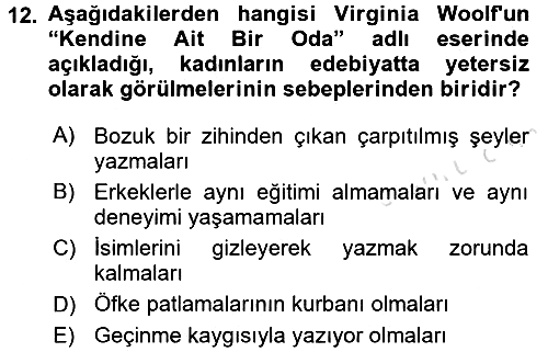 Toplumsal Cinsiyet Çalışmaları 2016-2017 Dönem Sonu Sınavı - 12. soru