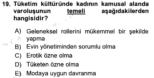 Toplumsal Cinsiyet Çalışmaları 2016-2017 Dönem Sonu Sınavı - 19. soru