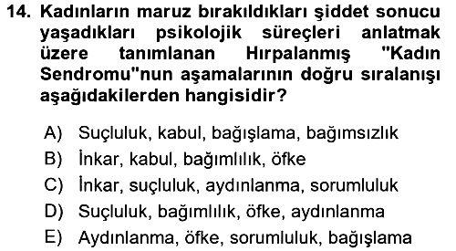 Toplumsal Cinsiyet Çalışmaları 2017-2018 Dönem Sonu Sınavı - 14. soru