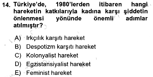 Toplumsal Cinsiyet Çalışmaları 2021-2022 Dönem Sonu Sınavı - 14. soru
