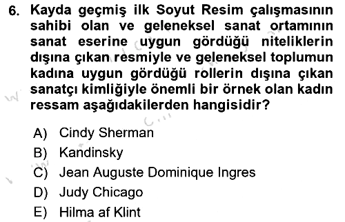 Toplumsal Cinsiyet Çalışmaları 2024-2025 Dönem Sonu Sınavı - 6. soru