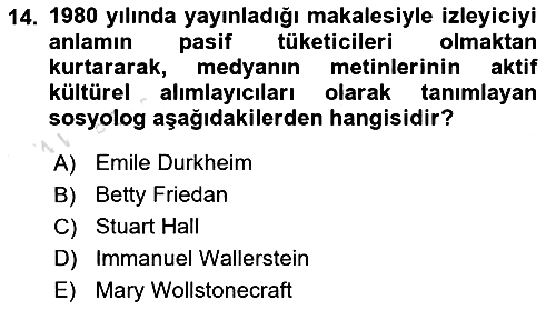 Toplumsal Cinsiyet Çalışmaları 2024-2025 Dönem Sonu Sınavı - 14. soru