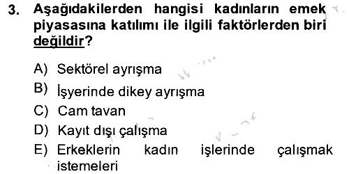 Toplumsal Cinsiyet Çalışmaları 2013-2014 Tek Ders Sınavı - 3. soru