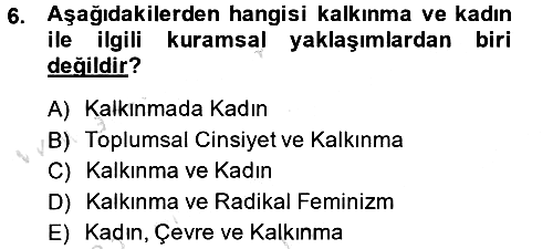 Toplumsal Cinsiyet Çalışmaları 2013-2014 Tek Ders Sınavı - 6. soru