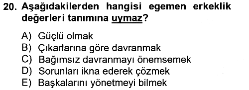 Toplumsal Cinsiyet Çalışmaları 2013-2014 Tek Ders Sınavı - 20. soru