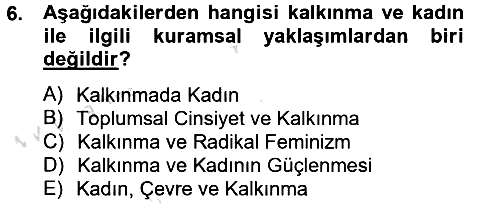 Toplumsal Cinsiyet Çalışmaları 2014-2015 Tek Ders Sınavı - 6. soru