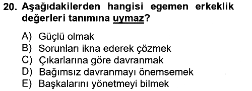 Toplumsal Cinsiyet Çalışmaları 2014-2015 Tek Ders Sınavı - 20. soru