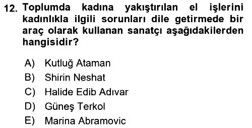 Toplumsal Cinsiyet Çalışmaları 2018-2019 Yaz Okulu Sınavı - 12. soru