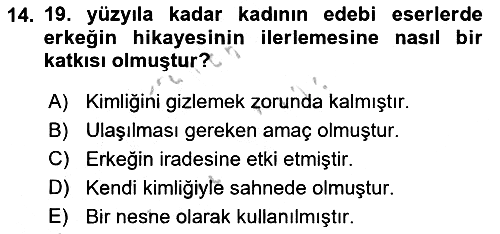 Toplumsal Cinsiyet Çalışmaları 2018-2019 Yaz Okulu Sınavı - 14. soru