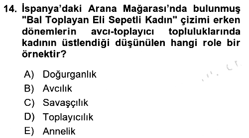 Toplumsal Cinsiyet Çalışmaları 2020-2021 Yaz Okulu Sınavı - 14. soru