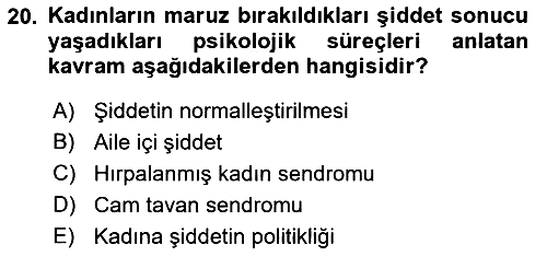 Toplumsal Cinsiyet Çalışmaları 2021-2022 Yaz Okulu Sınavı - 20. soru