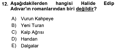 Toplumsal Cinsiyet Çalışmaları 2022-2023 Yaz Okulu Sınavı - 12. soru
