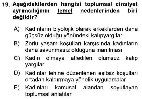 Toplumsal Cinsiyet Çalışmaları 2023-2024 Yaz Okulu Sınavı - 19. soru
