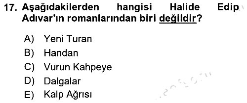 Toplumsal Cinsiyet Çalışmaları 2024-2025 Yaz Okulu Sınavı - 17. soru