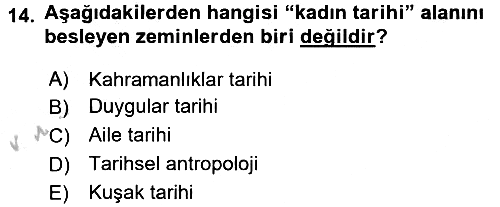 Toplumsal Cinsiyet Sosyolojisi 2016-2017 3 Ders Sınavı - 14. soru